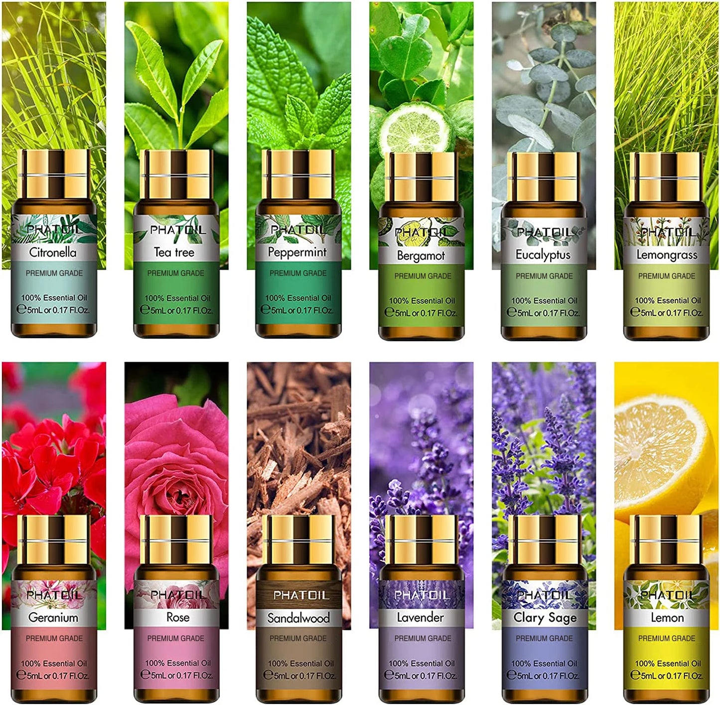 PHATOIL 12pc Gift Box Pure Essential Oils Set for Diffusers
